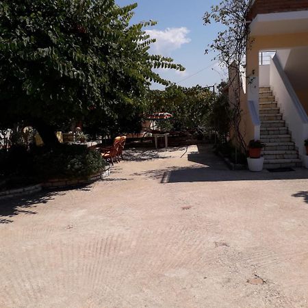 Villa Violeta Ksamil Zewnętrze zdjęcie